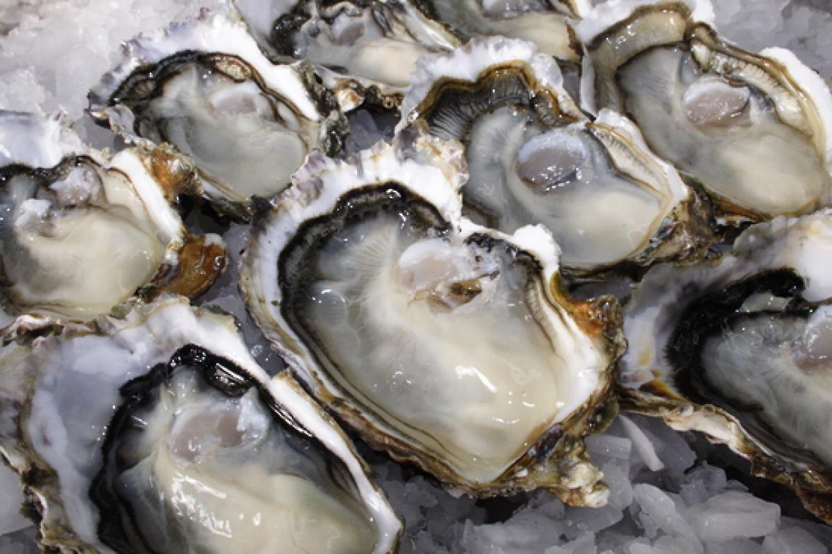 Smoked Hickory Oysters