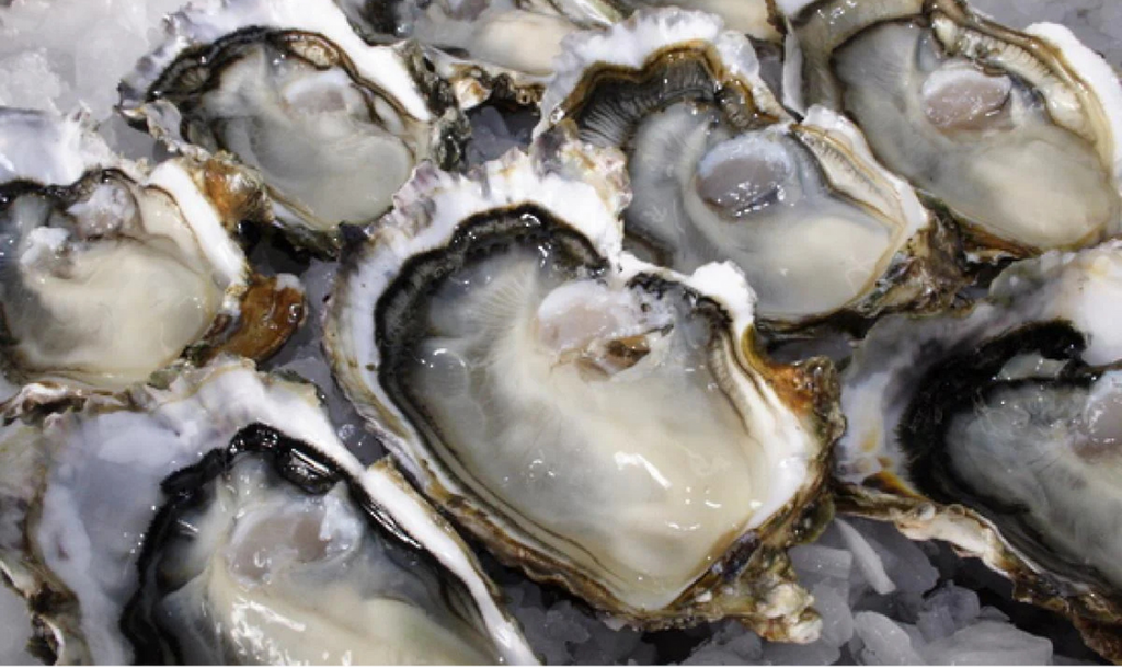 Smoked Hickory Oysters